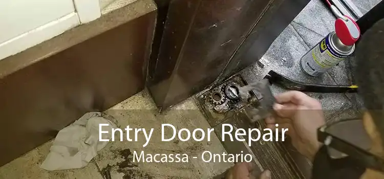 Entry Door Repair Macassa - Ontario