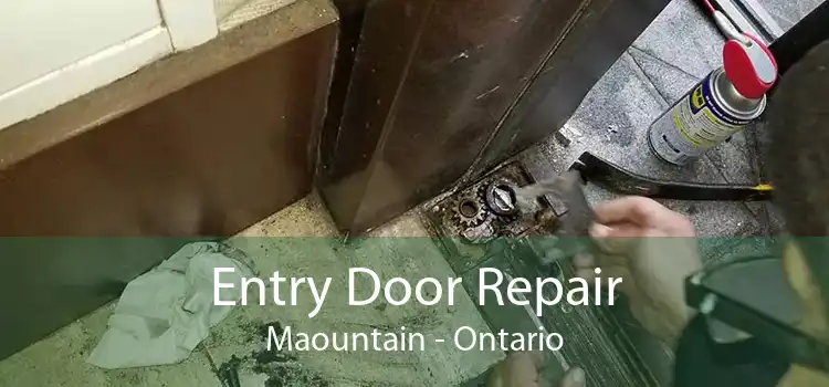 Entry Door Repair Maountain - Ontario