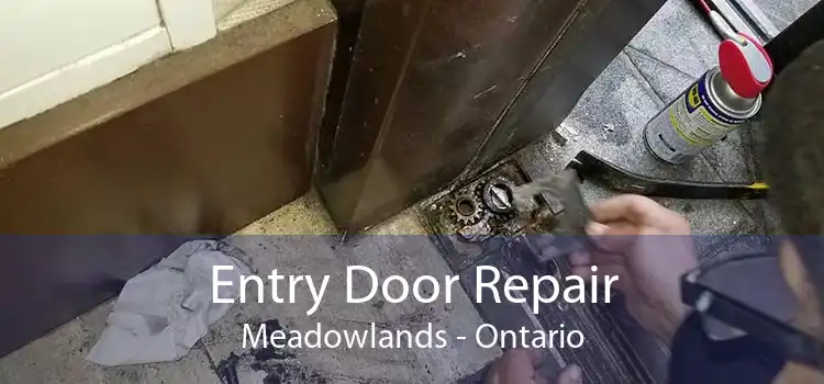 Entry Door Repair Meadowlands - Ontario