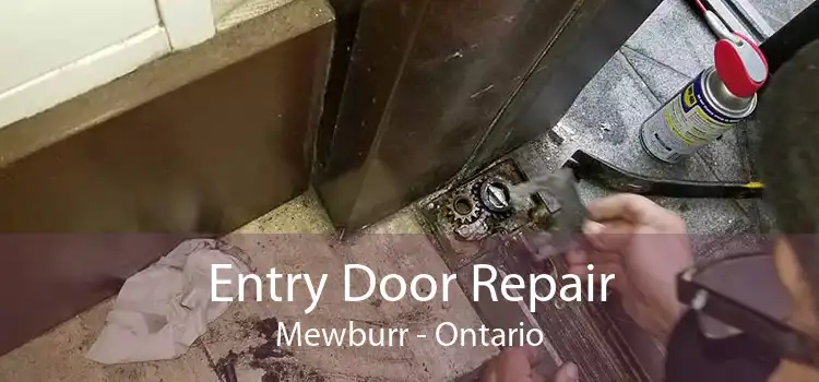 Entry Door Repair Mewburr - Ontario