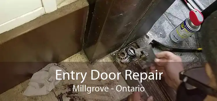Entry Door Repair Millgrove - Ontario