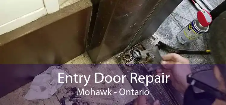 Entry Door Repair Mohawk - Ontario