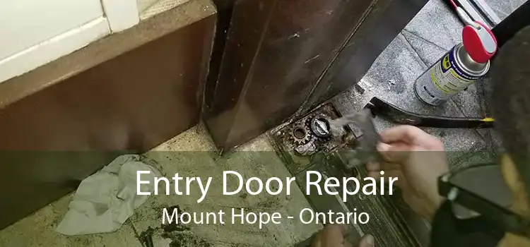 Entry Door Repair Mount Hope - Ontario