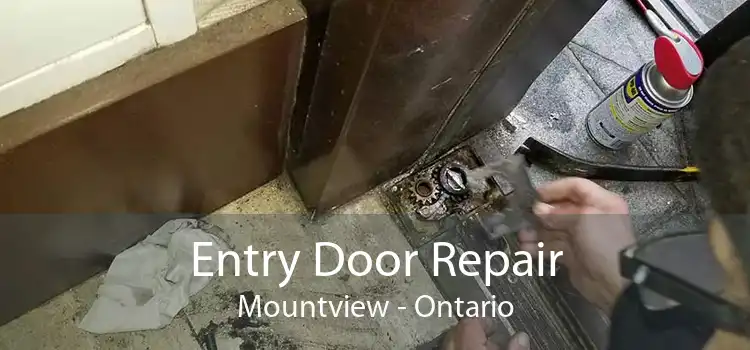 Entry Door Repair Mountview - Ontario