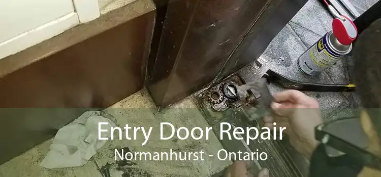 Entry Door Repair Normanhurst - Ontario