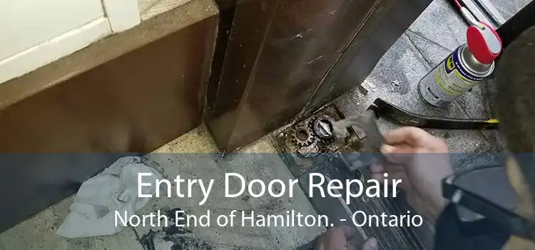 Entry Door Repair North End of Hamilton. - Ontario