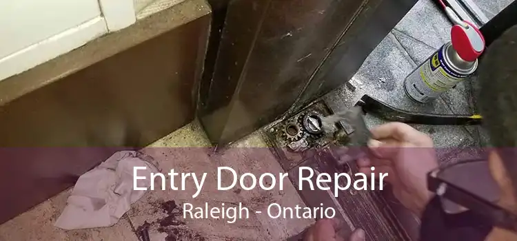 Entry Door Repair Raleigh - Ontario