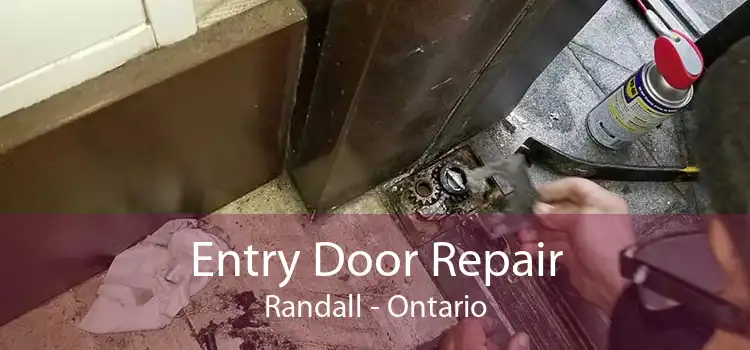 Entry Door Repair Randall - Ontario
