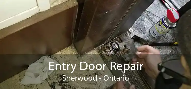 Entry Door Repair Sherwood - Ontario