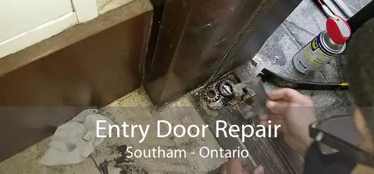 Entry Door Repair Southam - Ontario