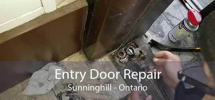 Entry Door Repair Sunninghill - Ontario