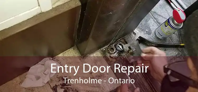 Entry Door Repair Trenholme - Ontario