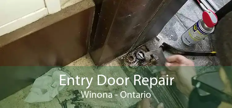 Entry Door Repair Winona - Ontario