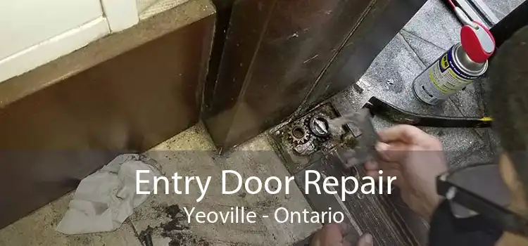 Entry Door Repair Yeoville - Ontario