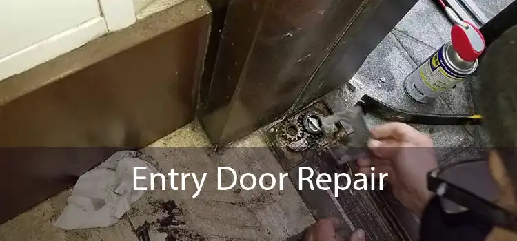 Entry Door Repair
