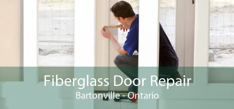 Fiberglass Door Repair Bartonville - Ontario