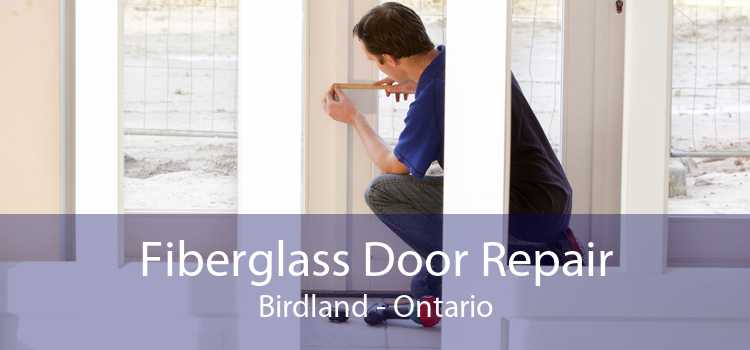 Fiberglass Door Repair Birdland - Ontario