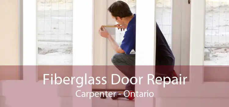 Fiberglass Door Repair Carpenter - Ontario