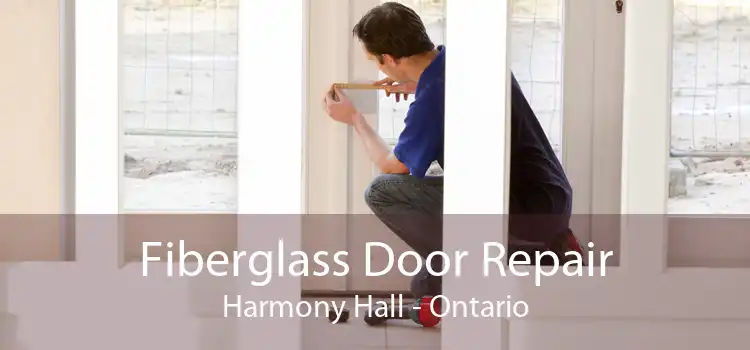 Fiberglass Door Repair Harmony Hall - Ontario