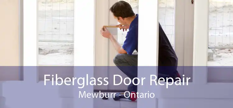 Fiberglass Door Repair Mewburr - Ontario