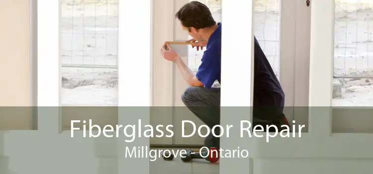 Fiberglass Door Repair Millgrove - Ontario