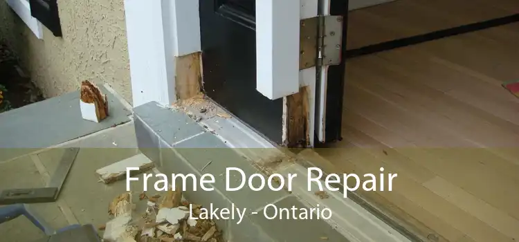 Frame Door Repair Lakely - Ontario