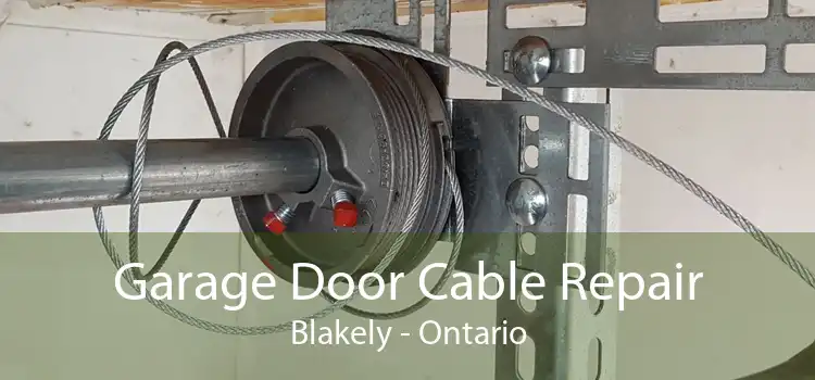 Garage Door Cable Repair Blakely - Ontario