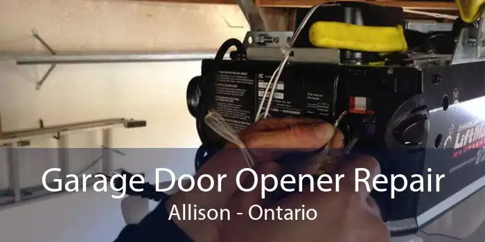 Garage Door Opener Repair Allison - Ontario