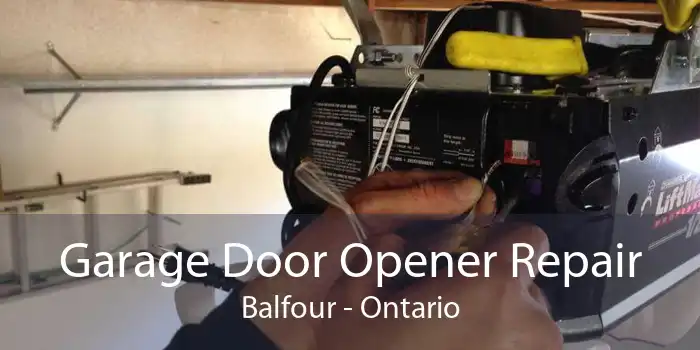 Garage Door Opener Repair Balfour - Ontario
