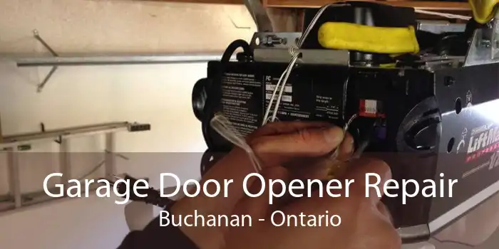 Garage Door Opener Repair Buchanan - Ontario