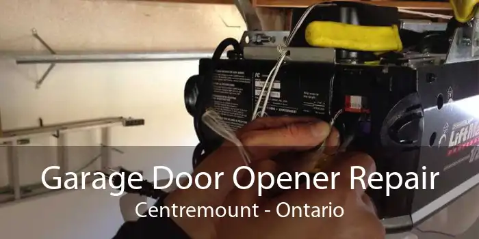 Garage Door Opener Repair Centremount - Ontario