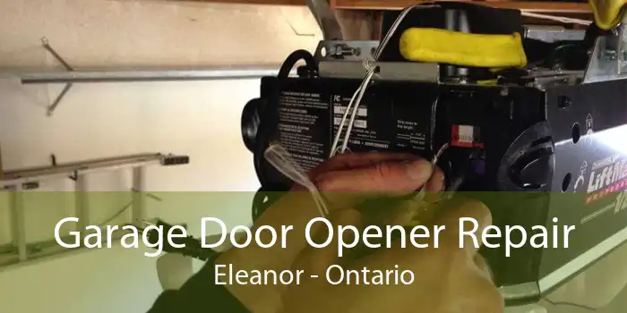 Garage Door Opener Repair Eleanor - Ontario