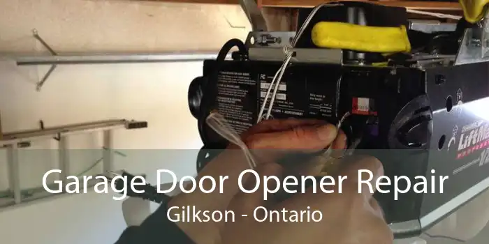 Garage Door Opener Repair Gilkson - Ontario