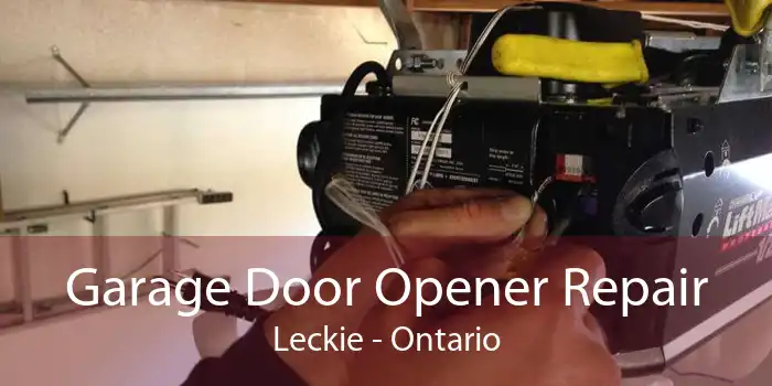 Garage Door Opener Repair Leckie - Ontario