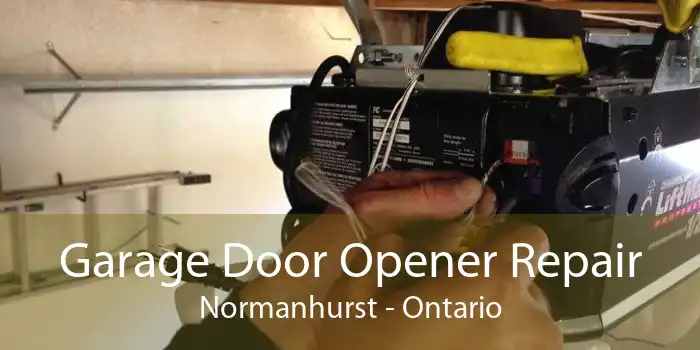 Garage Door Opener Repair Normanhurst - Ontario
