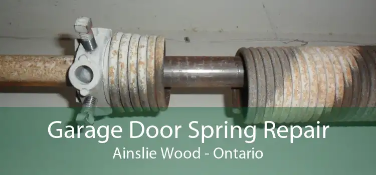 Garage Door Spring Repair Ainslie Wood - Ontario