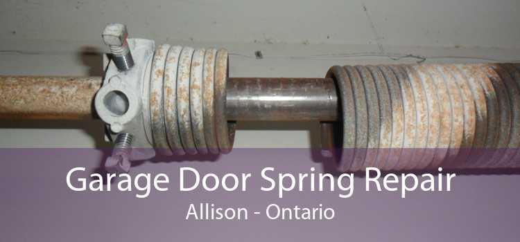 Garage Door Spring Repair Allison - Ontario