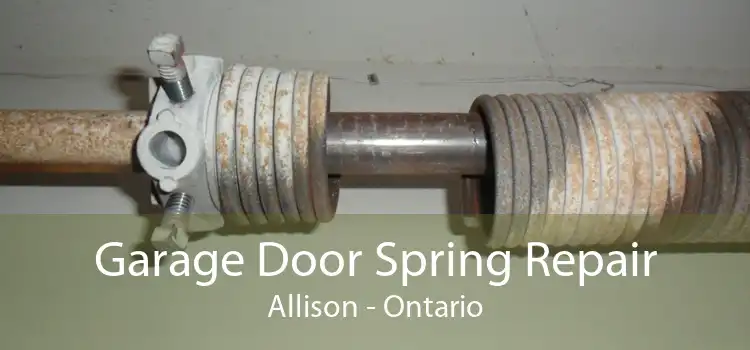 Garage Door Spring Repair Allison - Ontario