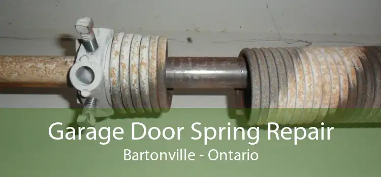 Garage Door Spring Repair Bartonville - Ontario