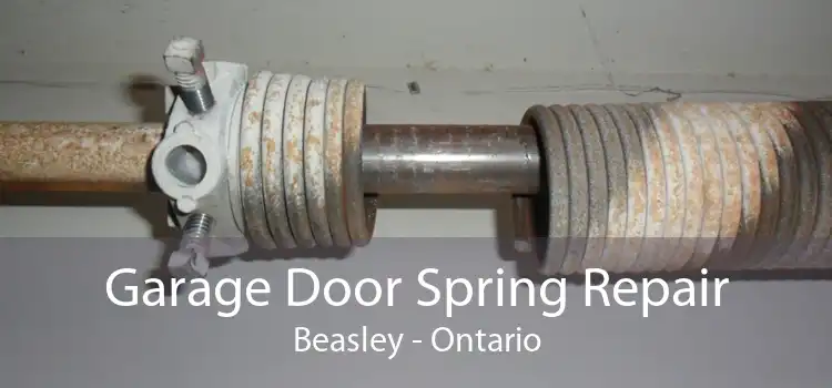 Garage Door Spring Repair Beasley - Ontario