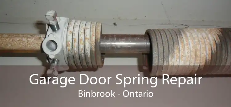 Garage Door Spring Repair Binbrook - Ontario