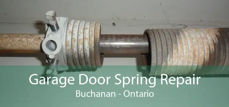Garage Door Spring Repair Buchanan - Ontario