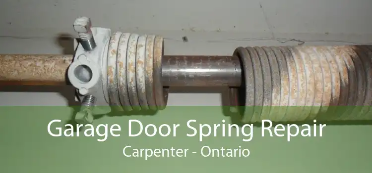 Garage Door Spring Repair Carpenter - Ontario