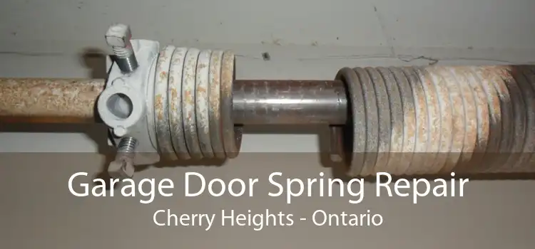 Garage Door Spring Repair Cherry Heights - Ontario