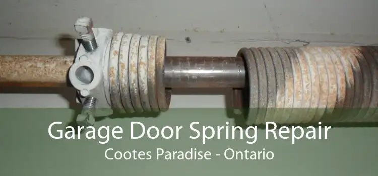 Garage Door Spring Repair Cootes Paradise - Ontario