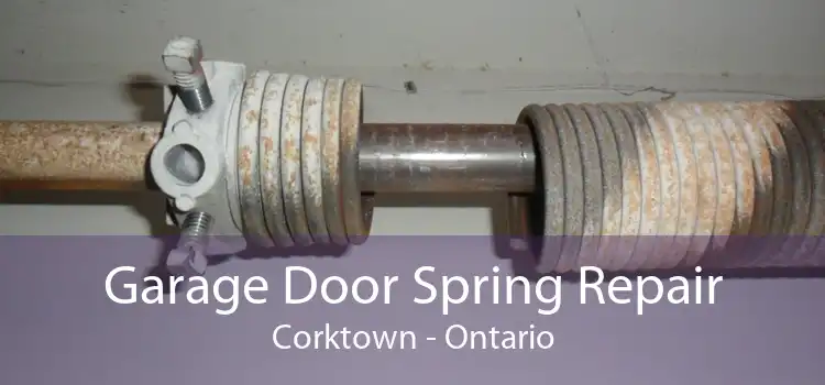 Garage Door Spring Repair Corktown - Ontario