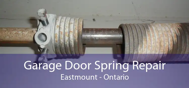 Garage Door Spring Repair Eastmount - Ontario