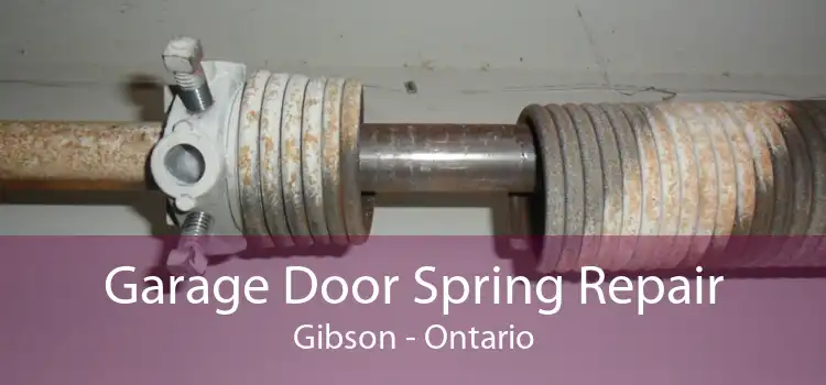 Garage Door Spring Repair Gibson - Ontario