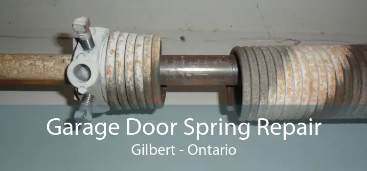 Garage Door Spring Repair Gilbert - Ontario