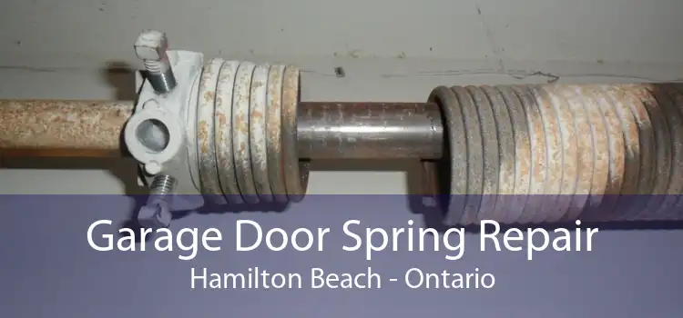Garage Door Spring Repair Hamilton Beach - Ontario